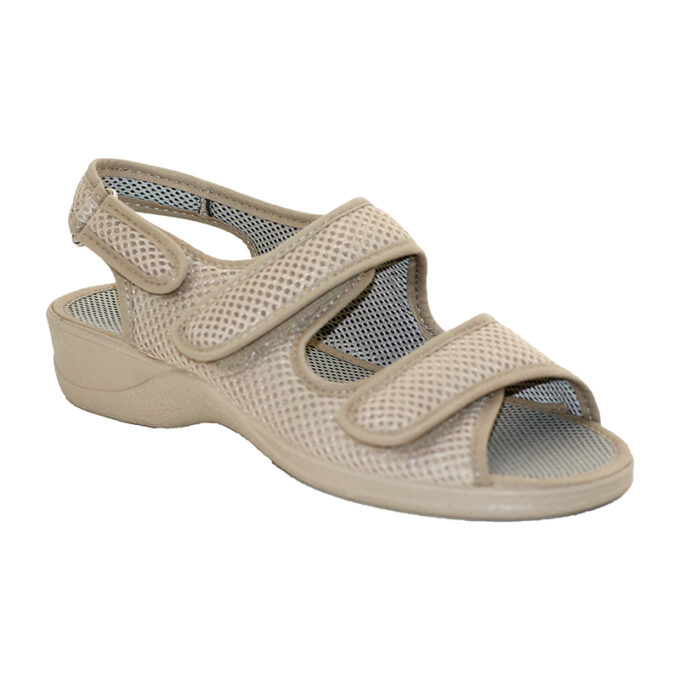 46-21739 TOSTADO 36-41